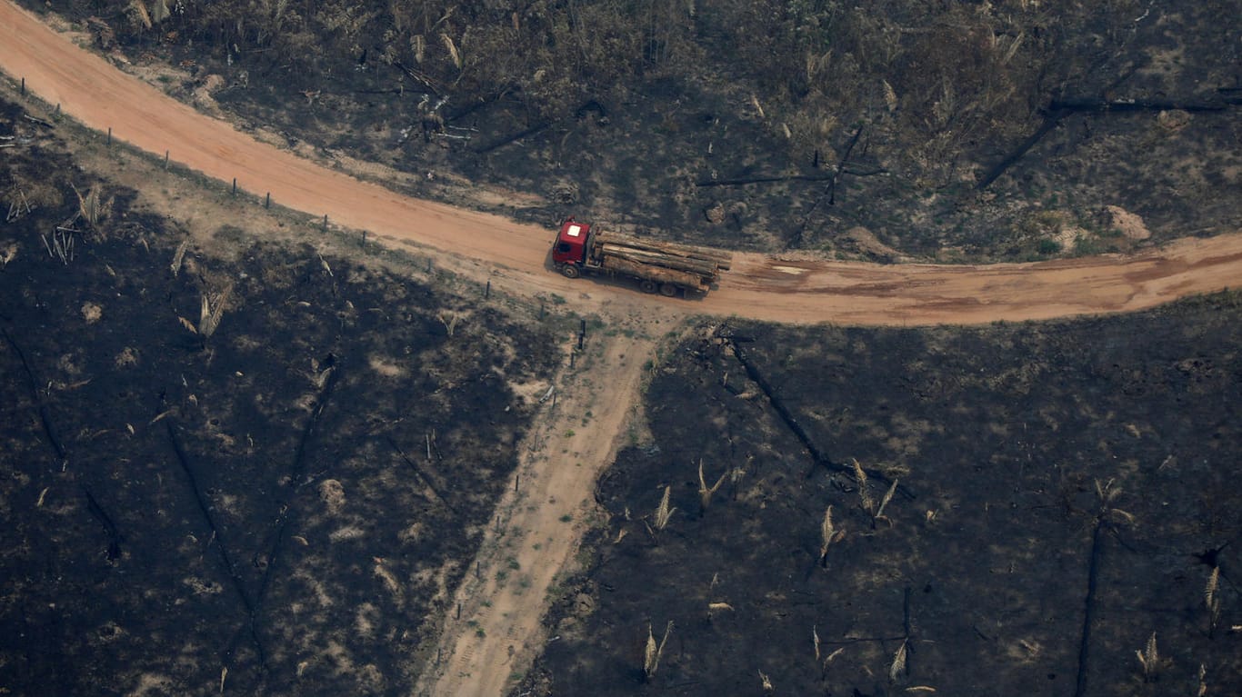Ein Lastwagen fährt durch ein brandgerodetes Stück des Amazonas-Regenwalds: Viele der Brände in Brasilien wurden gelegt, um Flächen für die Landwirtschaft abzuholzen.