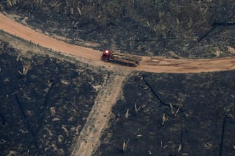 Ein Lastwagen fährt durch ein brandgerodetes Stück des Amazonas-Regenwalds: Viele der Brände in Brasilien wurden gelegt, um Flächen für die Landwirtschaft abzuholzen.
