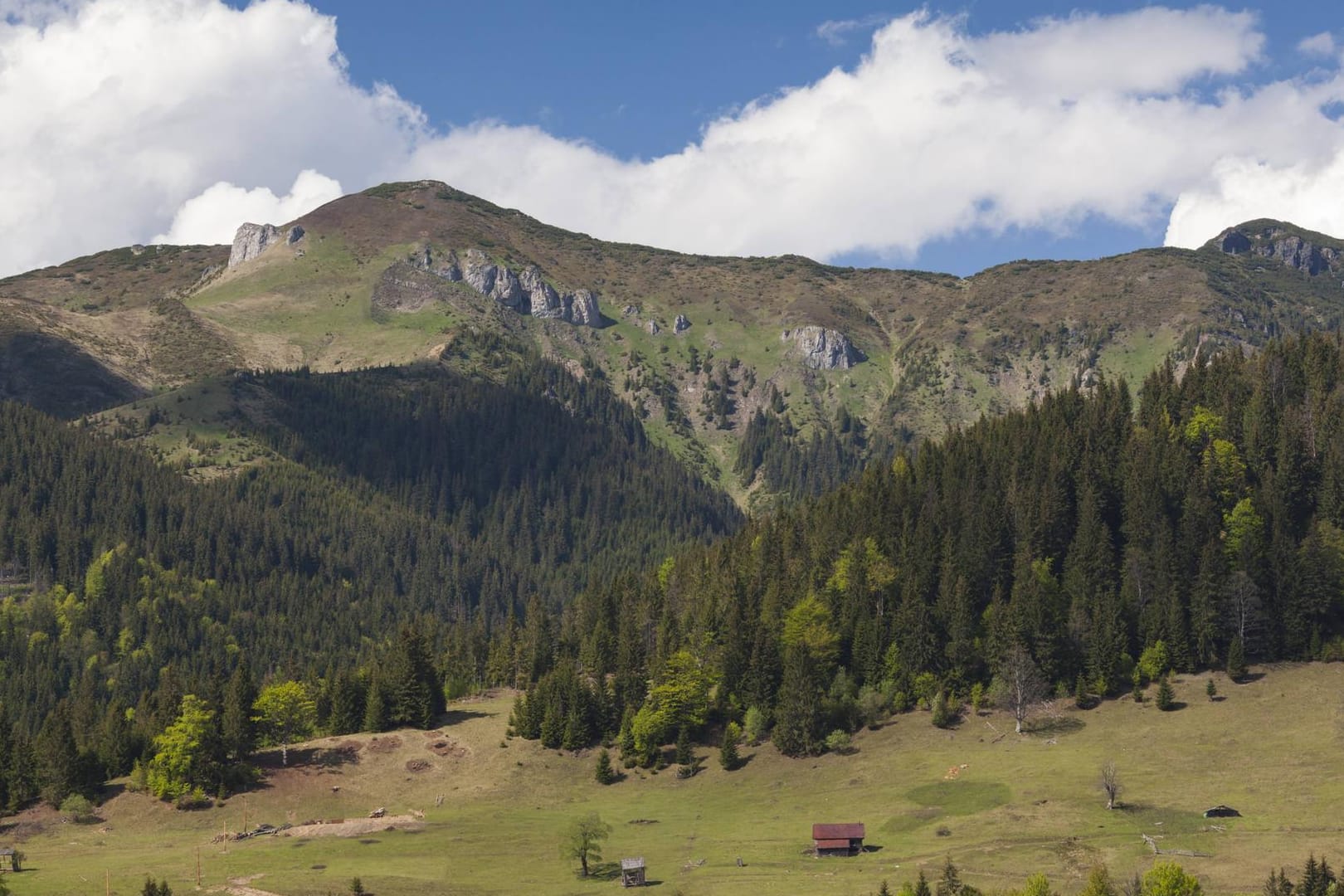 Die Region Maramures: Das dort beheimatete deutsche Sozialprojekt steht im Fokus der Staatsanwaltschaft.