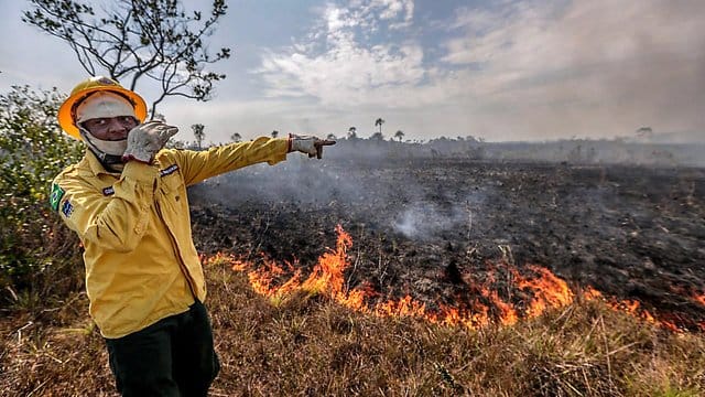 Ein Mitarbeiter der brasilianischen Umweltbehörde steht vor einem Brand. Ein Mitarbeiter der brasilianischen Umweltbehörde steht vor einem Brand.