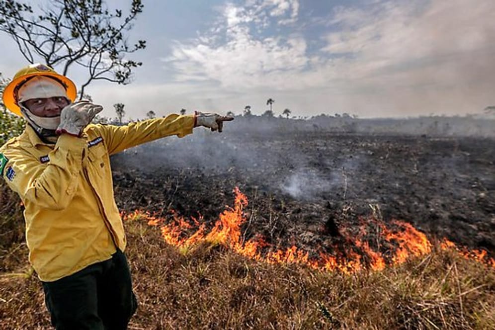 Ein Mitarbeiter der brasilianischen Umweltbehörde steht vor einem Brand.