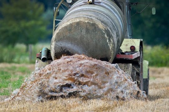 Ein Bauer bringt Gülle auf einem Feld im Oderbruch aus.