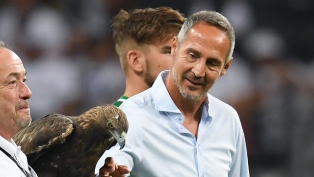 Eintracht-Trainer Adi Hütter warnt vor dem Spiel gegen Straßburg: "Wir brauchen eine sehr intelligente Spielweise und eine sehr gute Defensive. Eintracht-Trainer Adi Hütter warnt vor dem Spiel gegen Straßburg: "Wir brauchen eine sehr intelligente Spielweise und eine sehr gute Defensive.