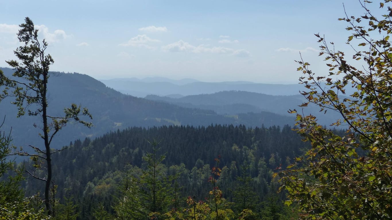 Blick auf den Schwarzwald: Bei Löffingen ist eine Wanderin tödlich verunuglückt. (Symbolfoto)