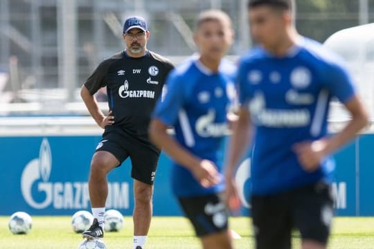 Trainer David Wagner ließ ohne die angeschlagenen Salif Sané und Matija Nastasic trainieren.