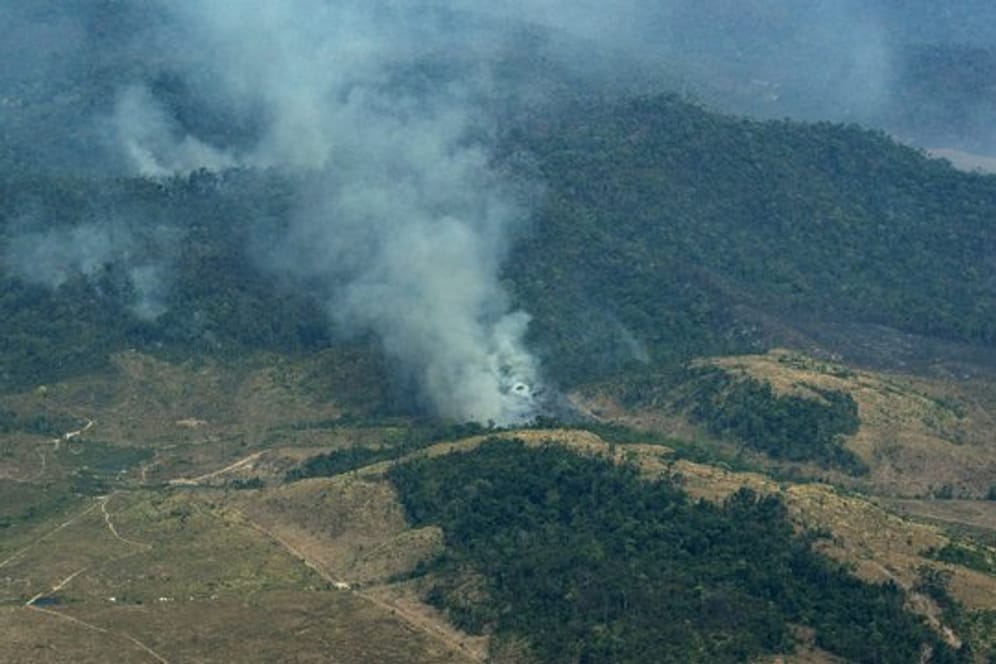 Aus einem Regenwald im Bundesstaat Para steigt Rauch auf.