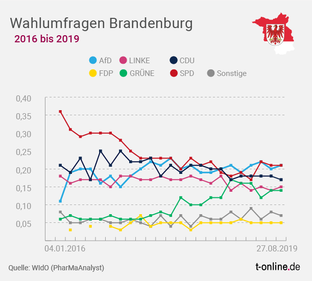 Umfragen verschiedener Institute für Brandenburg: Die AfD liegt schon lange stabil bei etwa 20 Prozent.