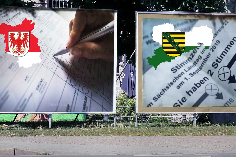 Wahlplakate zur Landtagswahl in Brandenburg und Sachsen. In beiden Bundesländern wird am 1. September ein neues Parlament gewählt.