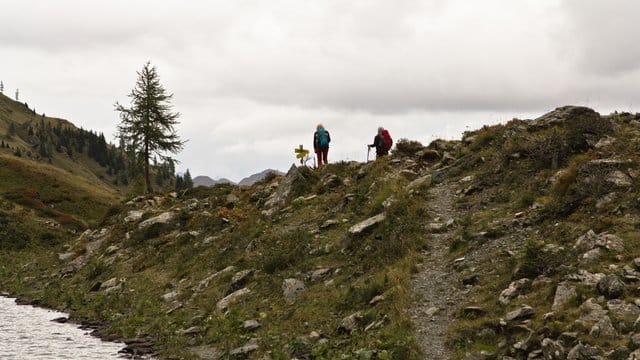 In den österreichischen Alpen sind in dieser Sommersaison mindestens 122 Menschen ums Leben gekommen. In den österreichischen Alpen sind in dieser Sommersaison mindestens 122 Menschen ums Leben gekommen.