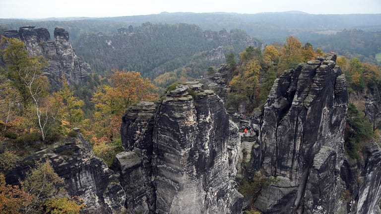 Felsen bei Rathen in der Sächsischen Schweiz: In dieser Gegend spielt die SPD fast keine Rolle.