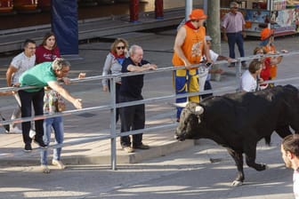 Spektakel in Spanien: Bei der Veranstaltung in Cuellar ist ein Zuschauer ums Leben gekommen.