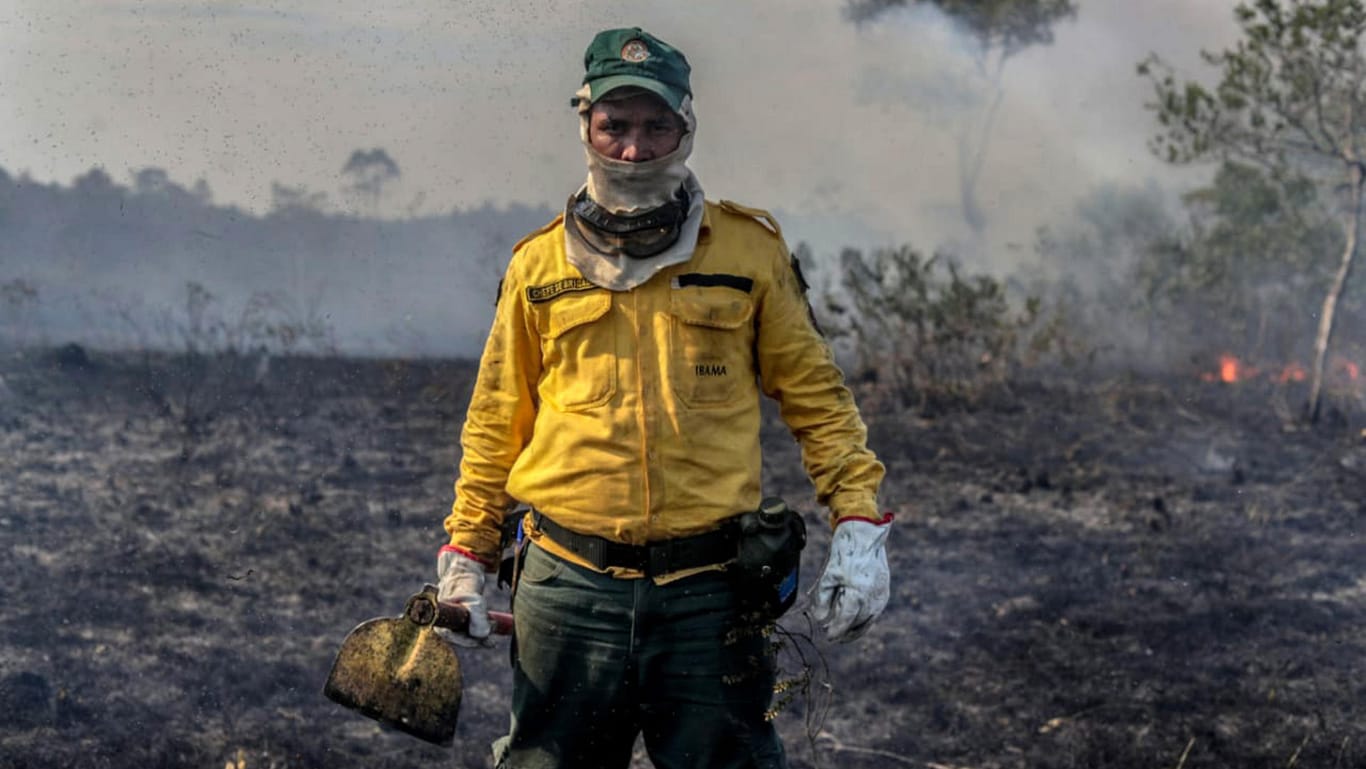 Amazonas im Flammen: Ein Mitarbeiter der brasilianischen Umweltbehörde in einem von den Waldbränden zerstörten Waldstück.
