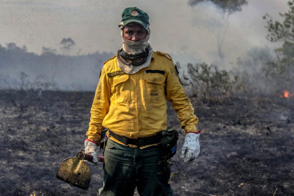 Amazonas im Flammen: Ein Mitarbeiter der brasilianischen Umweltbehörde in einem von den Waldbränden zerstörten Waldstück.