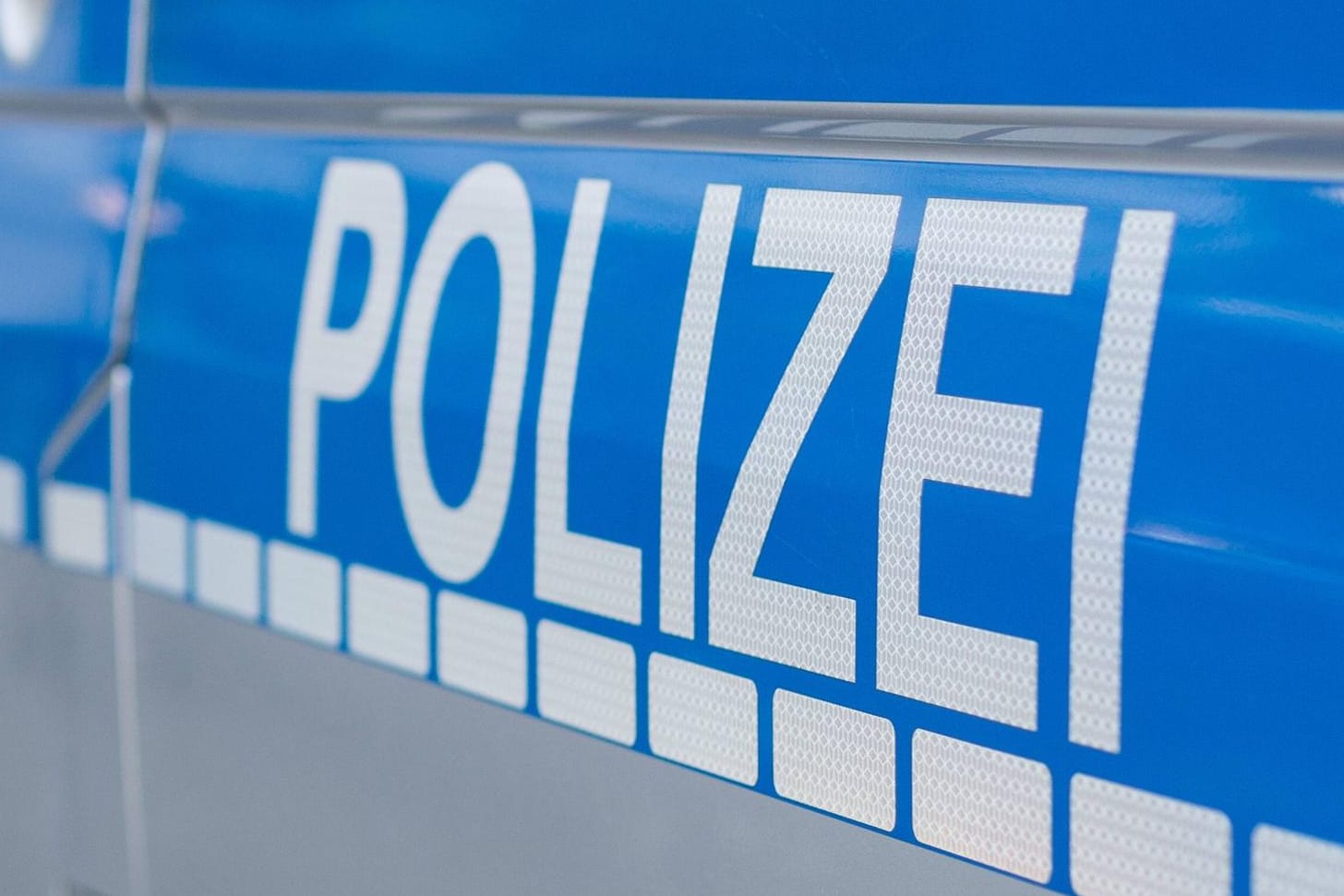 Ein Streifenwagen der Polizei: Ein Sondereinsatzkommando hat zwei Hunde in Wolfsburg erschossen.