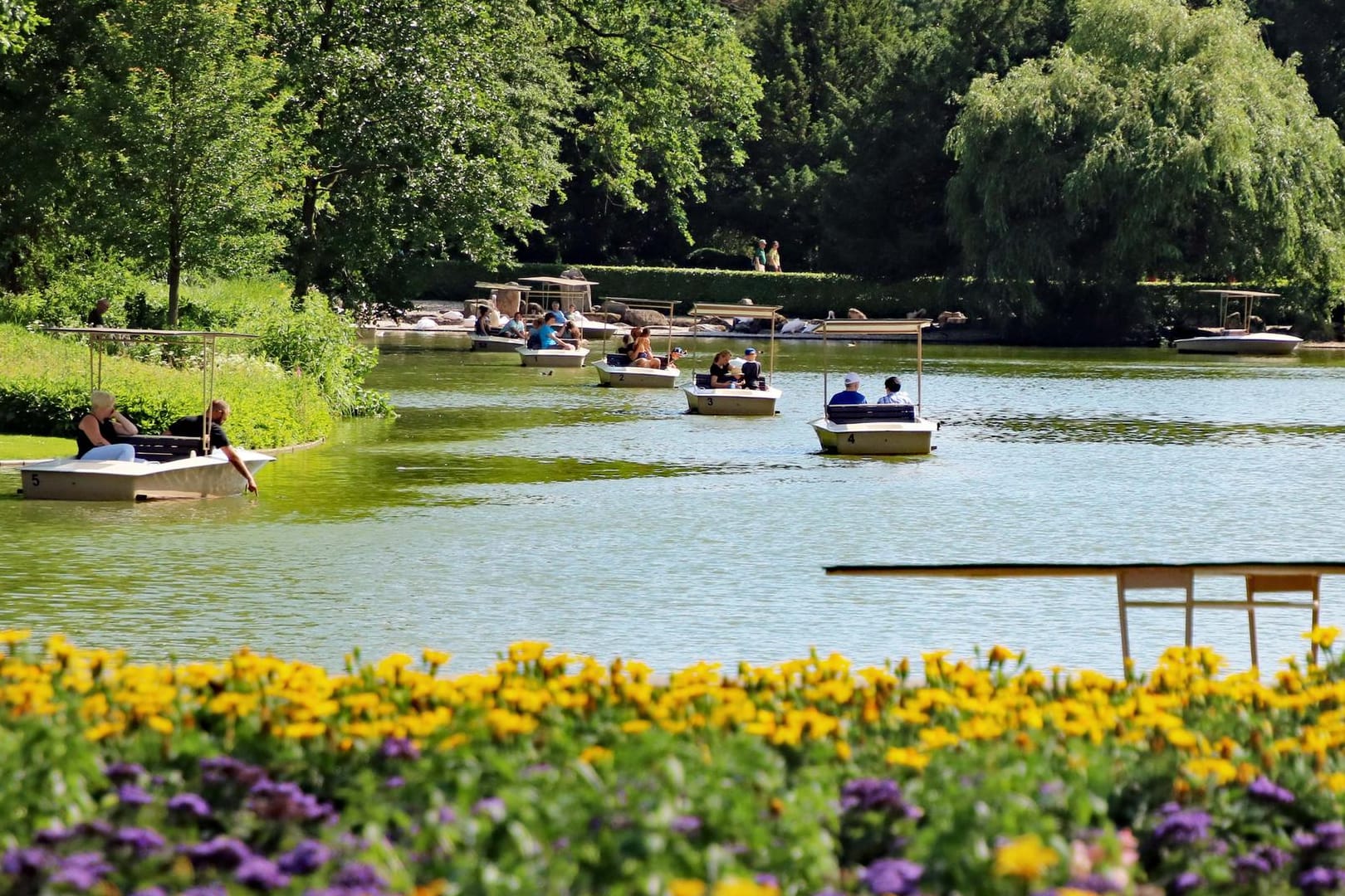 Mehrere kleine Boote dümpeln auf einem See in einem Park: Die Gondoletta ist ein beliebte Attraktion in Karlsruhe.