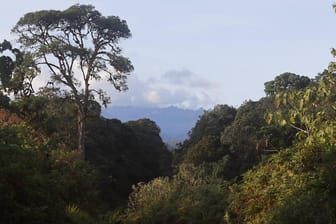 Landschaft in Kenia: Schluchten und Täler in dem Nationalpark können sich bei ergiebigen Regenfällen nach längerer Trockenheit in reißende Ströme verwandeln.(Symbolbild)