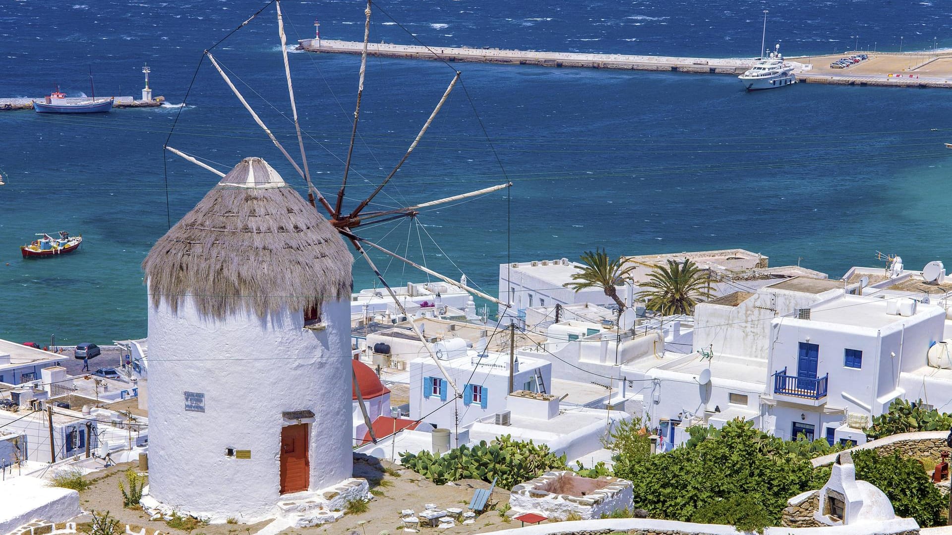 Ausblick auf Windmühle und alten Hafen: Mykonos-Stadt macht vor allem wegen seiner hohen Preise Schlagzeilen.