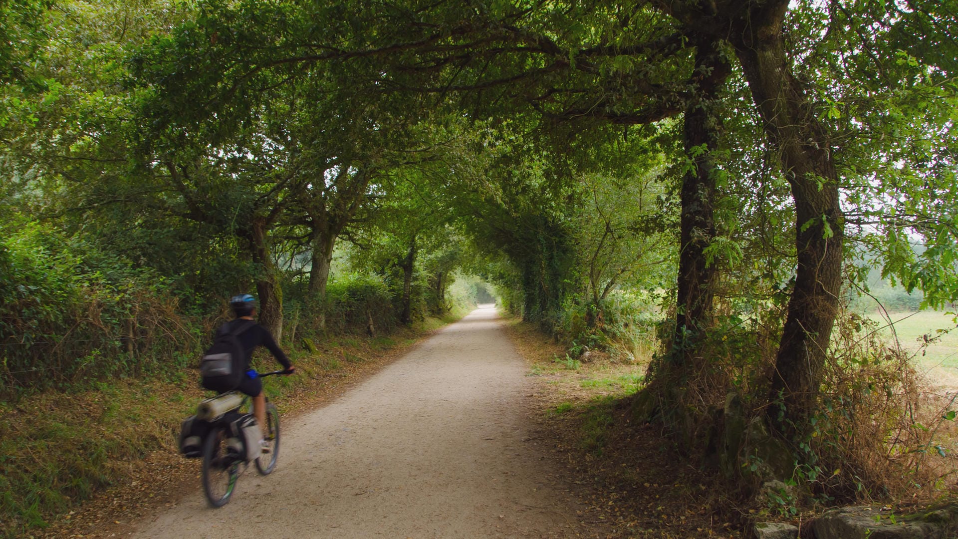 Ein Fahrradfahrer auf dem Jakobsweg: Der Camino Francés umfasst mehr als 800 Kilometer und mehr als 16.000 Höhenmeter.