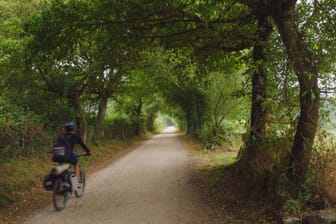 Ein Fahrradfahrer auf dem Jakobsweg: Der Camino Francés umfasst mehr als 800 Kilometer und mehr als 16.000 Höhenmeter.