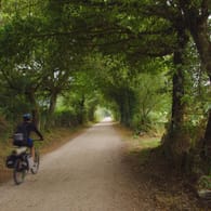 Ein Fahrradfahrer auf dem Jakobsweg: Der Camino Francés umfasst mehr als 800 Kilometer und mehr als 16.000 Höhenmeter.