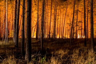 Großbrand in einem Wald in Brandenburg (Symbolbild): Schafft es die große Koalition, einen effektiven Klimaschutz zu beschließen?