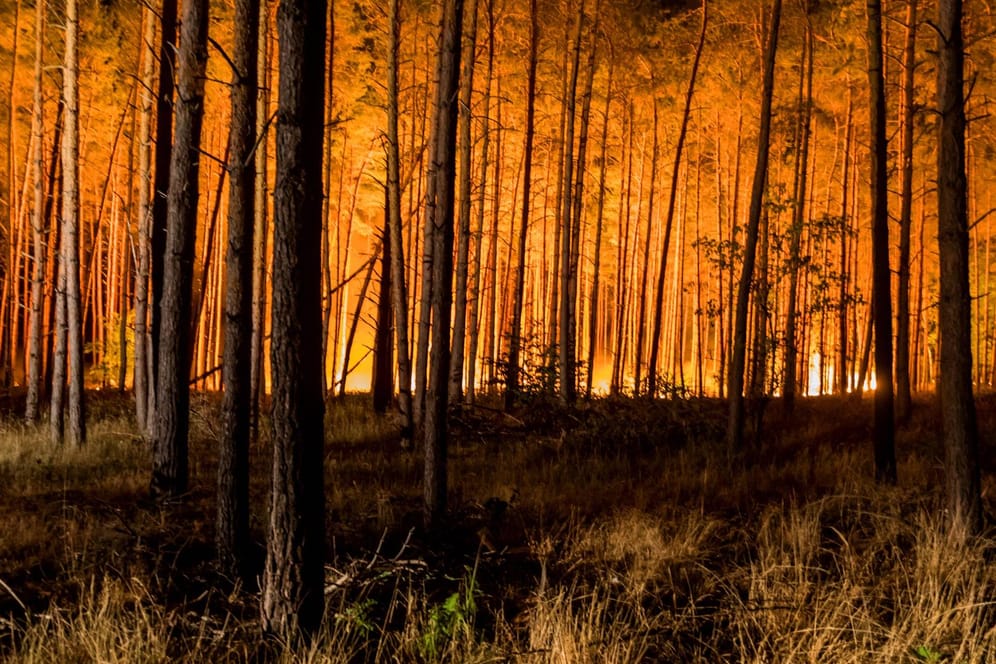 Großbrand in einem Wald in Brandenburg (Symbolbild): Schafft es die große Koalition, einen effektiven Klimaschutz zu beschließen?