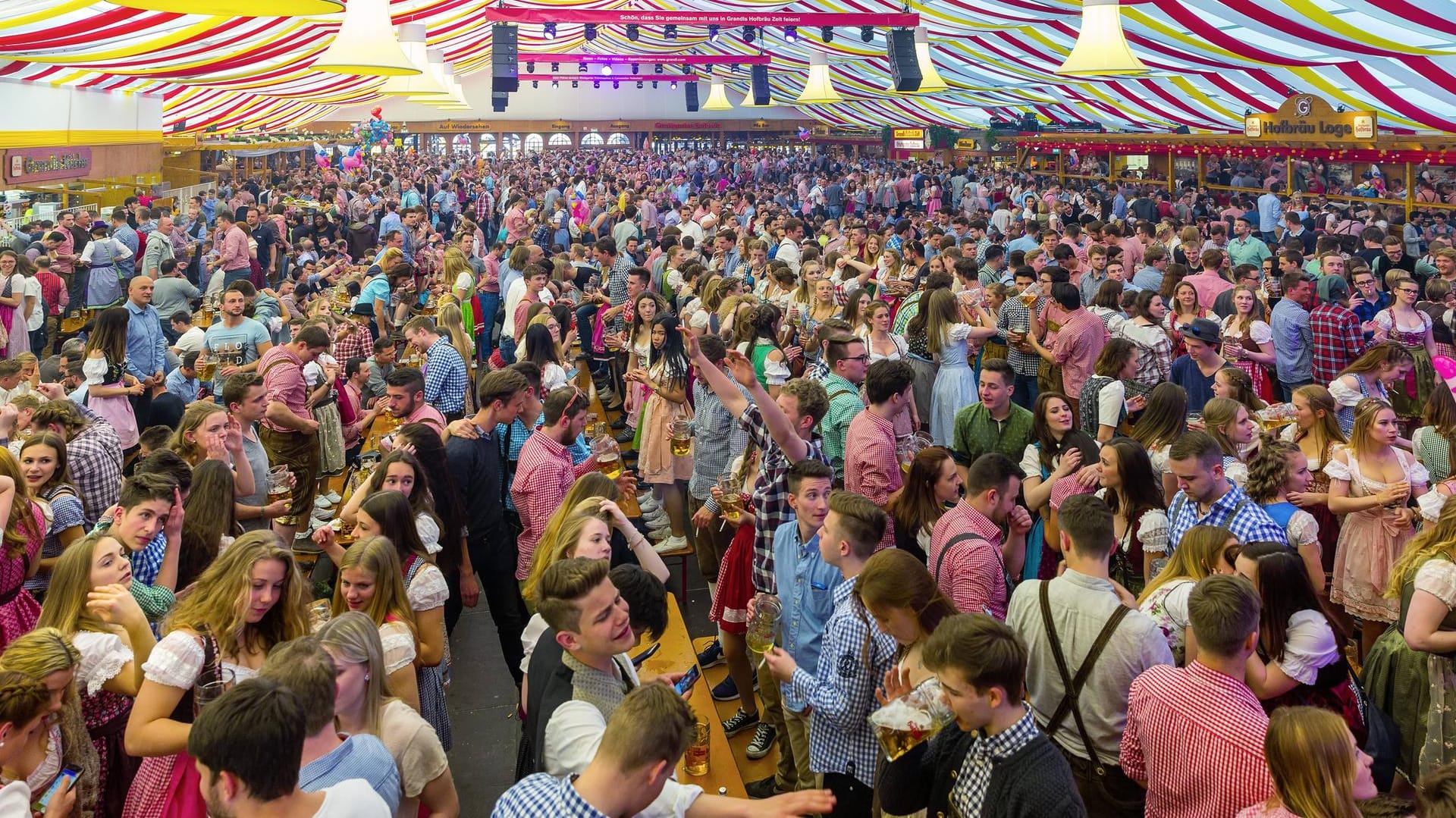 Festzelt bei der Cannstatter Wasen: Viele Gäste kommen in Trachtenkleidung oder Dirndl auf das Volksfest.