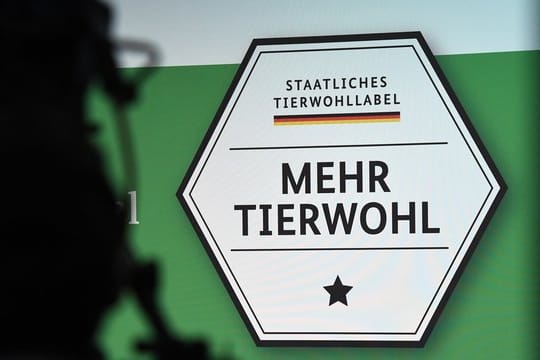 Das staatliche Tierwohl-Label für Fleisch soll Verbrauchern eine bessere Orientierung beim Einkauf geben.