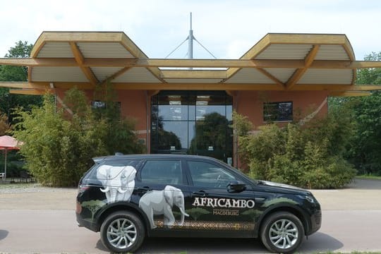 Der Eingang zum Magdeburger Zoo