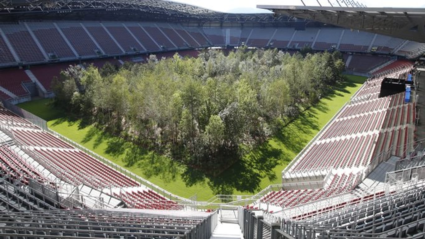 299 Bäume stehen im Wörthersee-Stadion als Kunstinstallation.