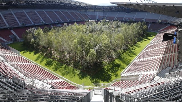 299 Bäume stehen im Wörthersee-Stadion als Kunstinstallation.