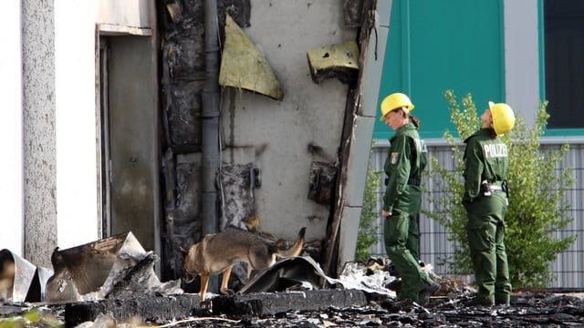 Spürhunde der Polizei vor einer abgebrannten Turnhalle in Potsdam.