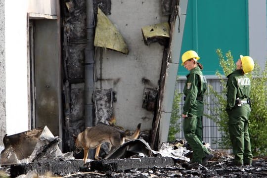 Spürhunde der Polizei vor einer abgebrannten Turnhalle in Potsdam.