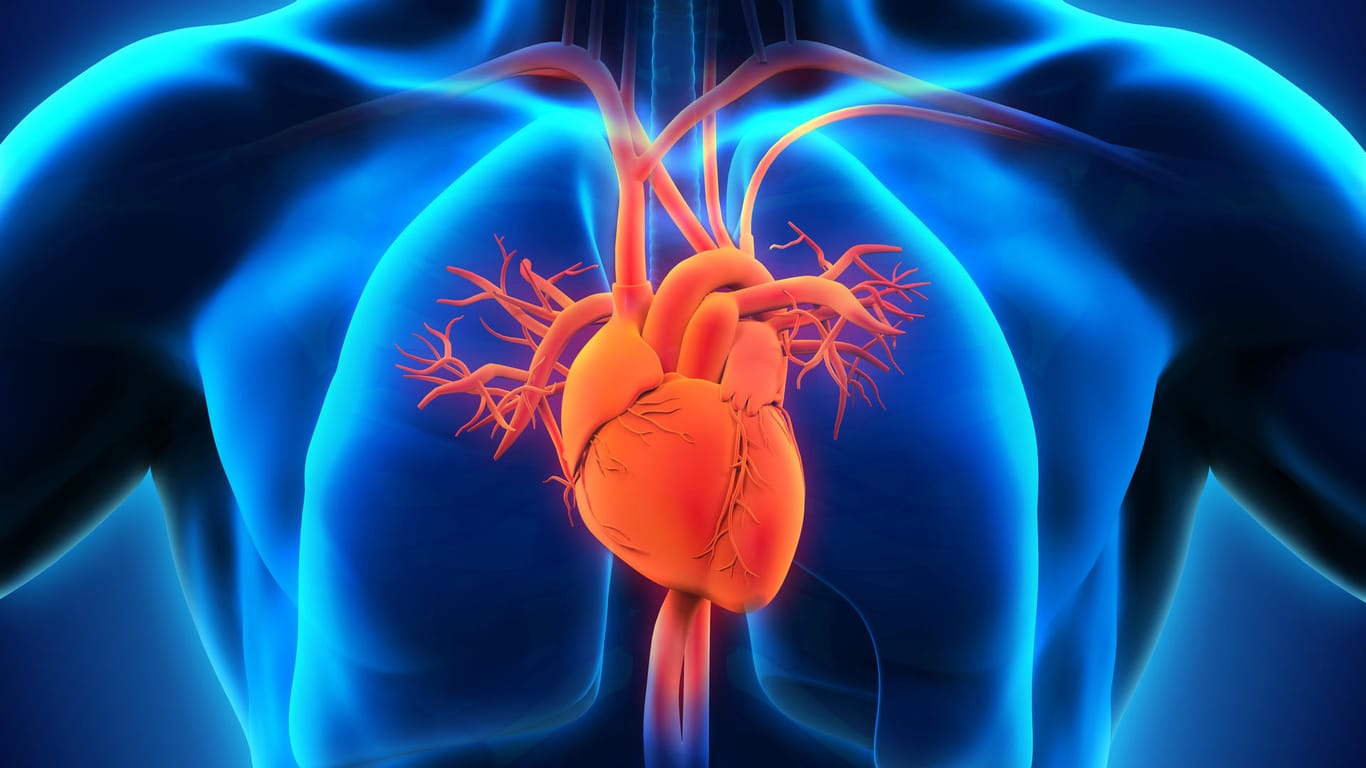 Herz-Kreislaufsystem: Anhaltender Bluthochdruck ist eine Gefahr für die Blutgefäße.