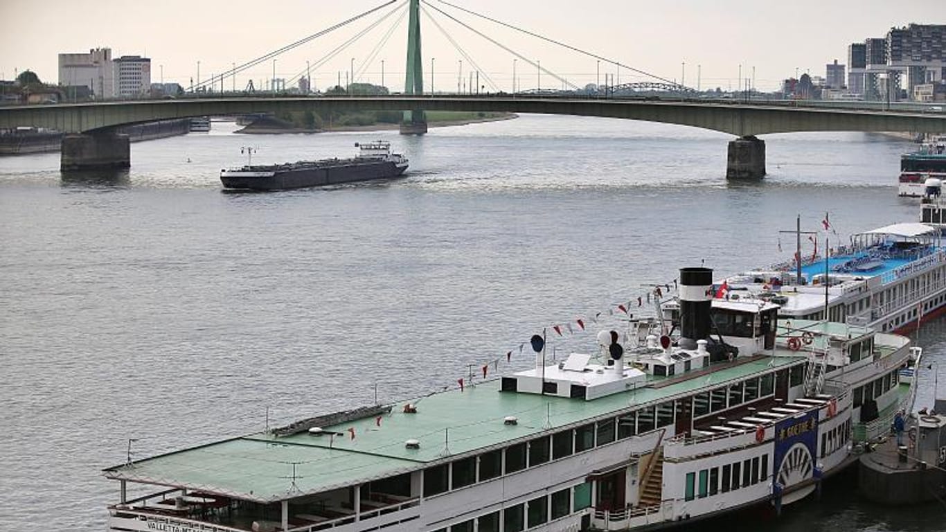 Fahrgastschiffe liegen auf dem Rhein in Köln: Im Kölner Stadtteil Zündorf ist ein Schiff gegen eine Fähre gefahren.