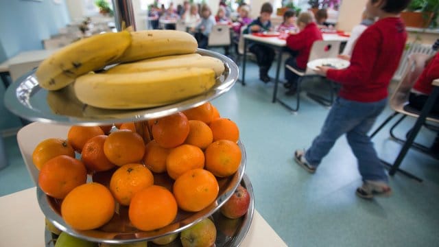 WHO: Mit Investitionen in gesündere Ernährung könnten Menschenleben gerettet werden. WHO: Mit Investitionen in gesündere Ernährung könnten Menschenleben gerettet werden.
