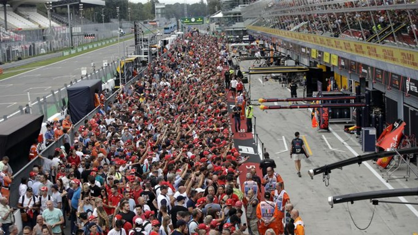 Rot ist beim Großen Preis von Italien in Monza die beherrschende Farbe.