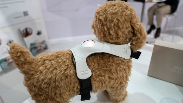 Wie geht es dir? Inupathy ist ein Stimmungsbarometer für den Hund.