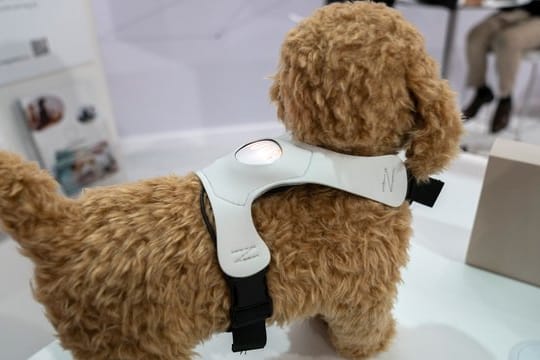 Wie geht es dir? Inupathy ist ein Stimmungsbarometer für den Hund.