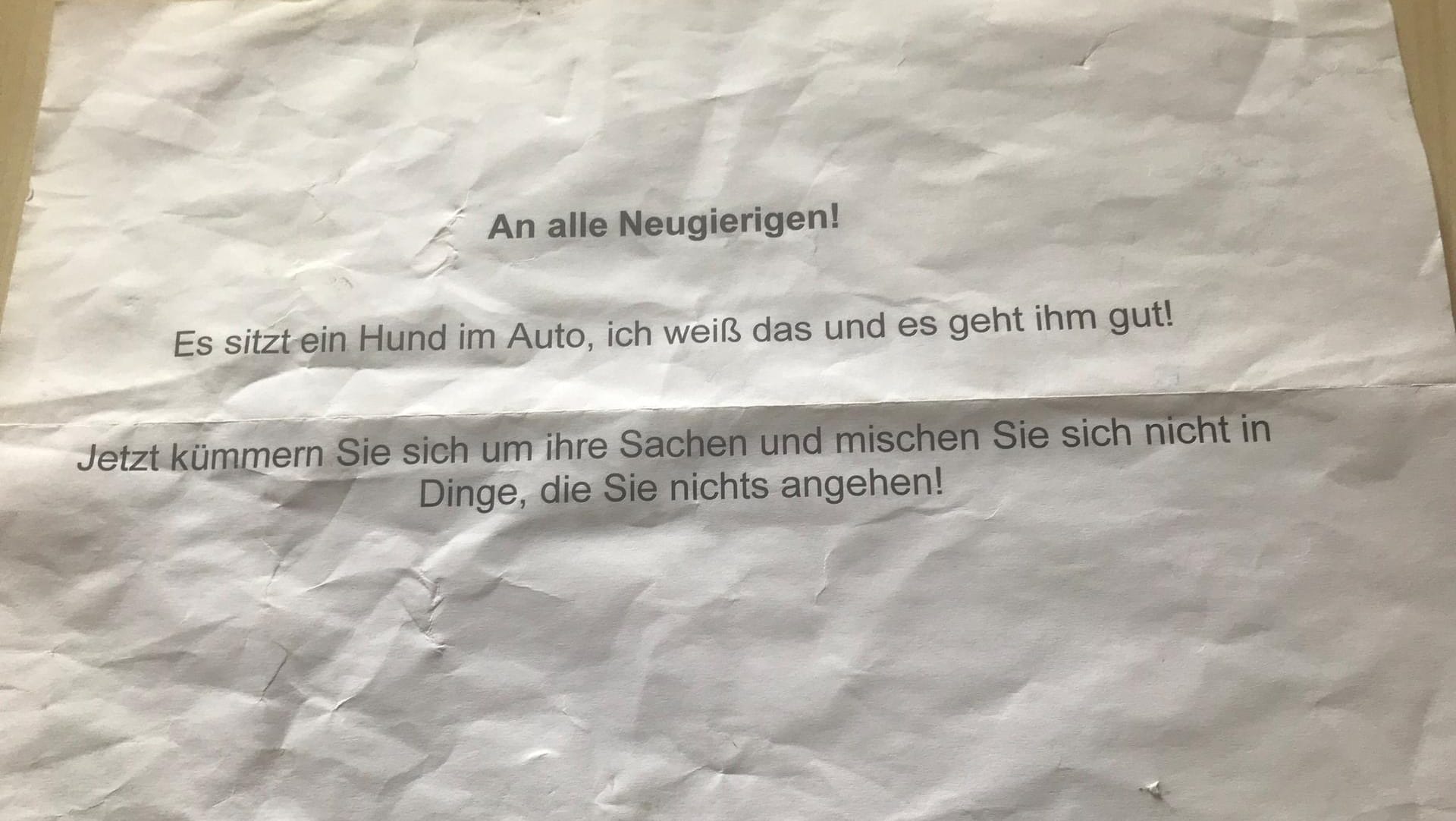 Hund stirbt in überhitztem Auto: Der Halter hatte zuvor einen Zettel für Passanten geschrieben.