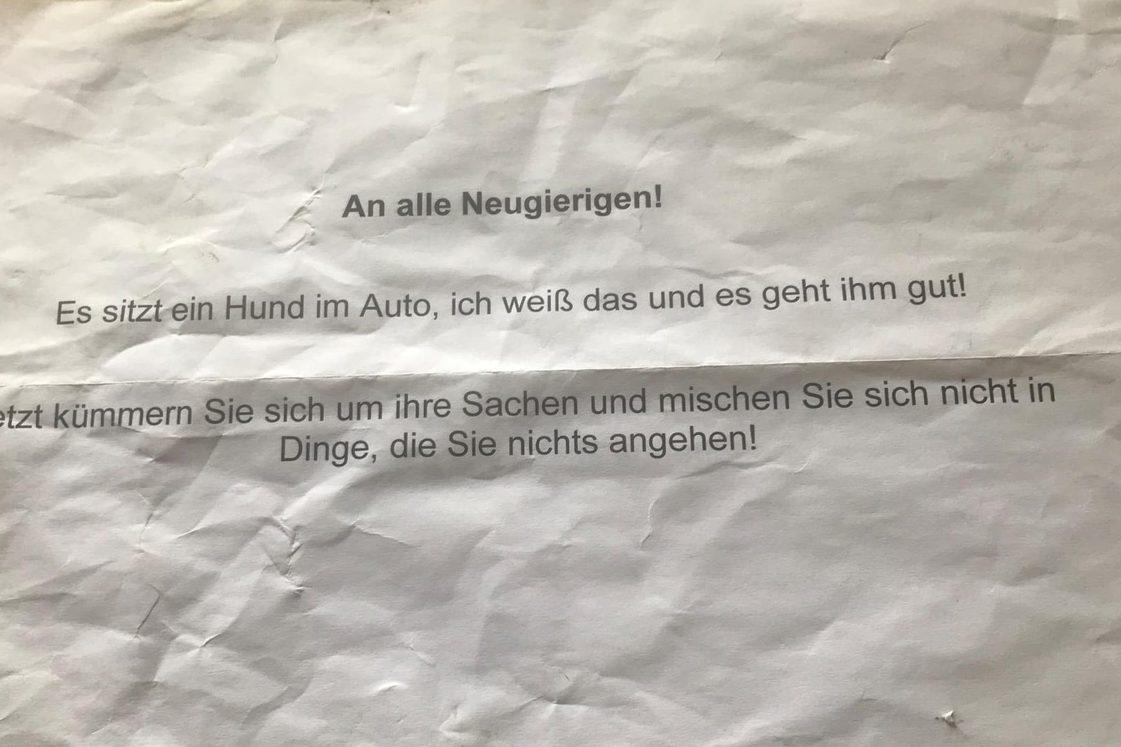 Hund stirbt in überhitztem Auto: Der Halter hatte zuvor einen Zettel für Passanten geschrieben.