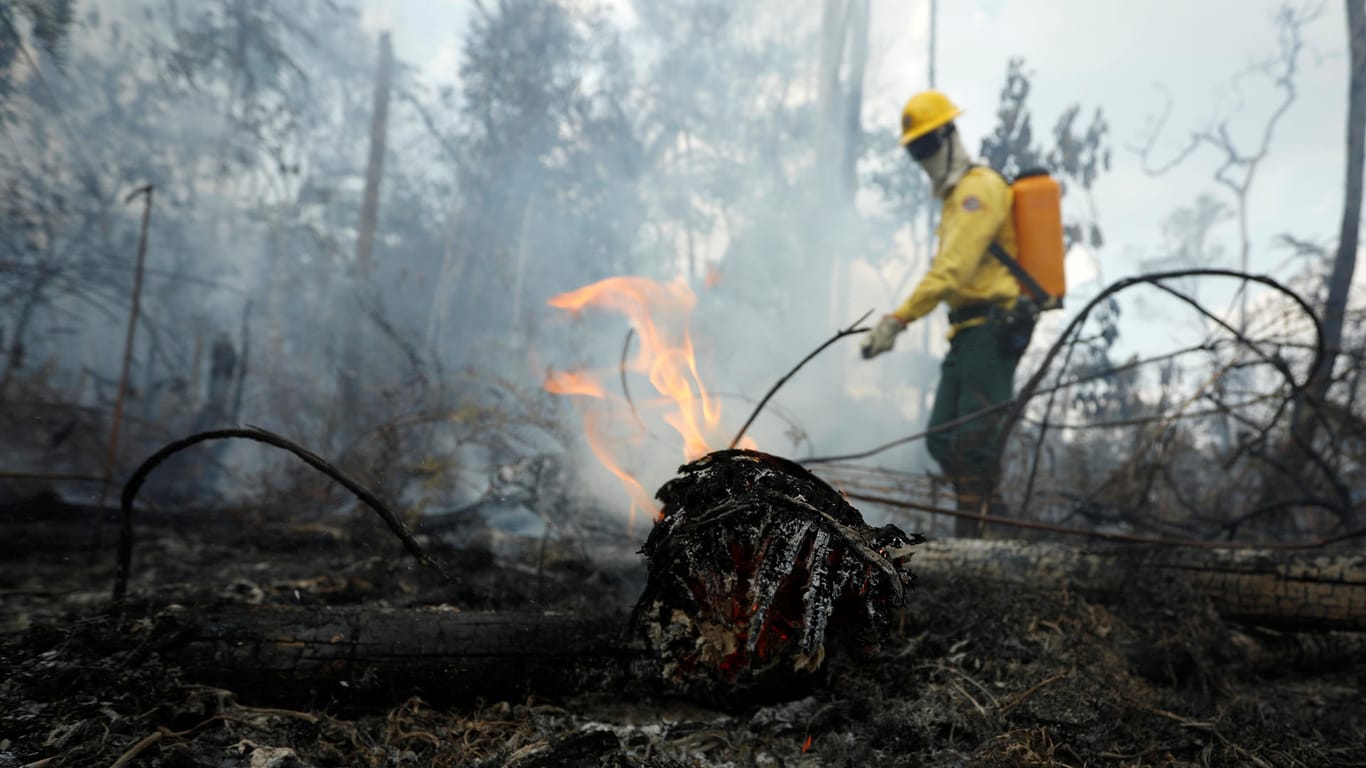 Ein Feuerwehrmann bekämpft die Flammen im Regenwald.