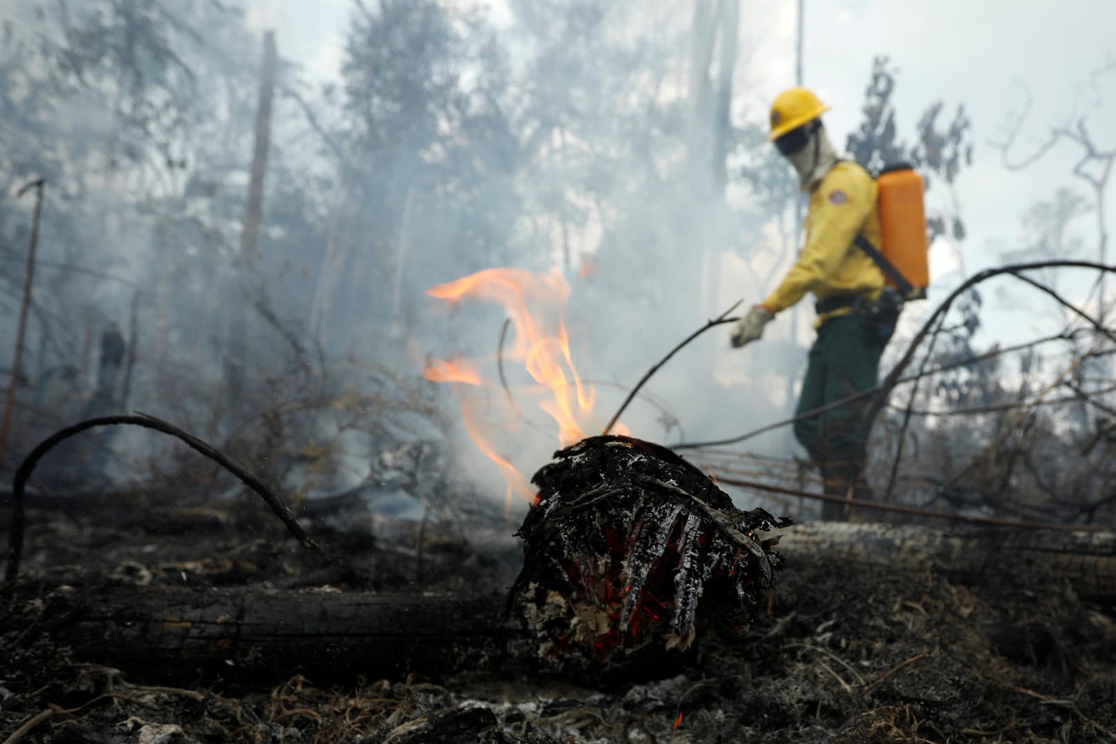 Ein Feuerwehrmann bekämpft die Flammen im Regenwald.