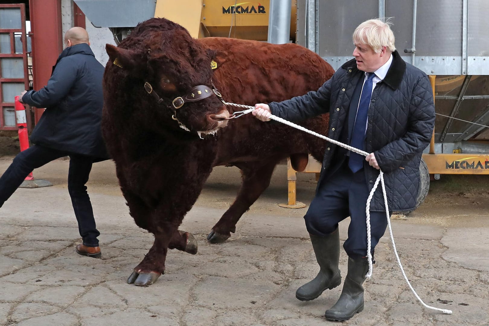 Boris Johnson hat es in Schottland mit einem Stier zu tun - auch beim Kampf um den Brexit tut er sich schwer.