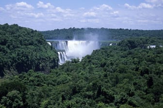Die Iguazú-Wasserfälle an der Grenze von Brasilien und Argentinien: Behörden warnen vor der voranschreitenden Vernichtung des brasilianischen Regenwalds.