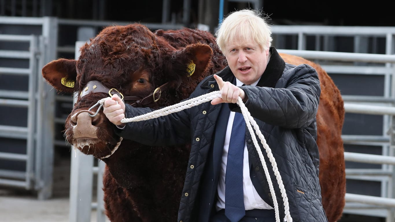 Boris Johnson besucht eine Farm in Schottland: Was plant der britische Premierminister, um eine Brexit-Verschiebung doch noch zu verhindern?