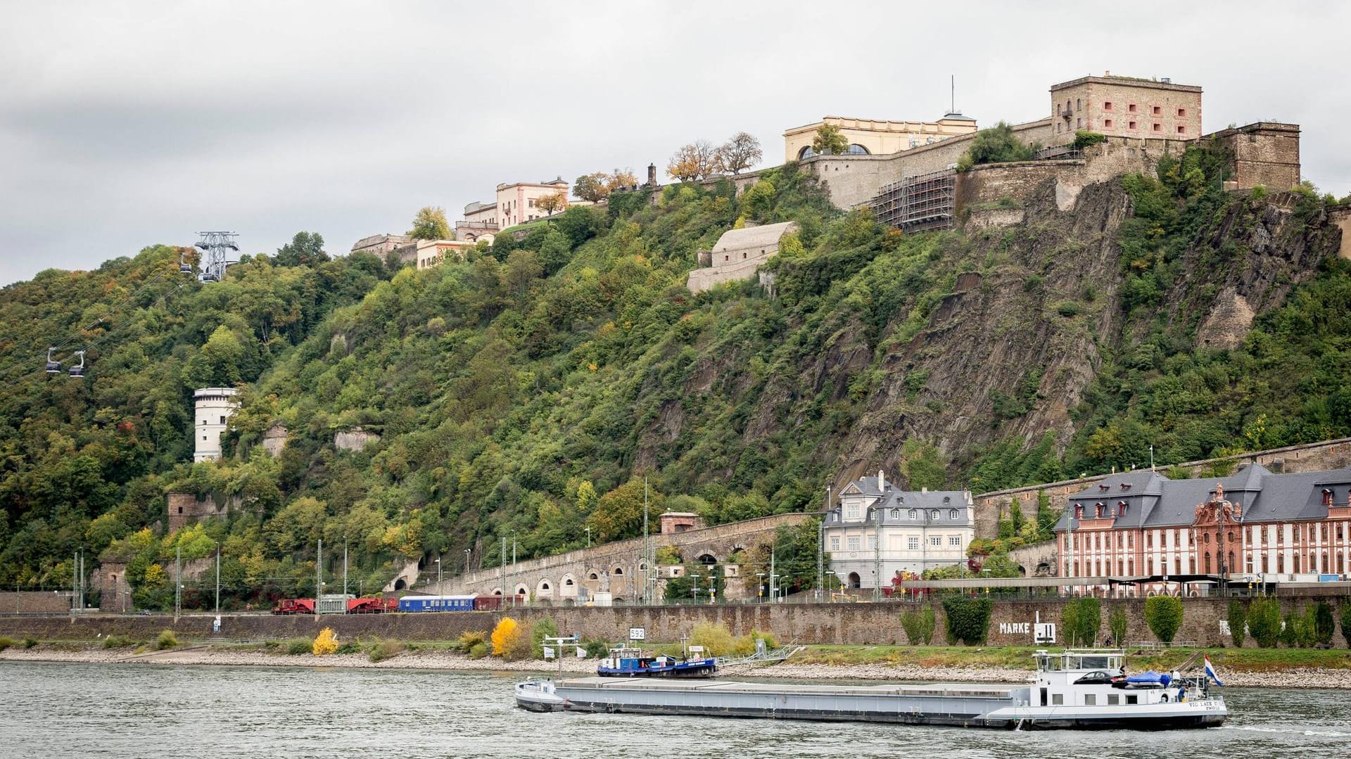 Blick auf die Festung Ehrenbreitstein bei Koblenz: Auf dem Gelände mussten bereits einige Bäume gefällt werden.