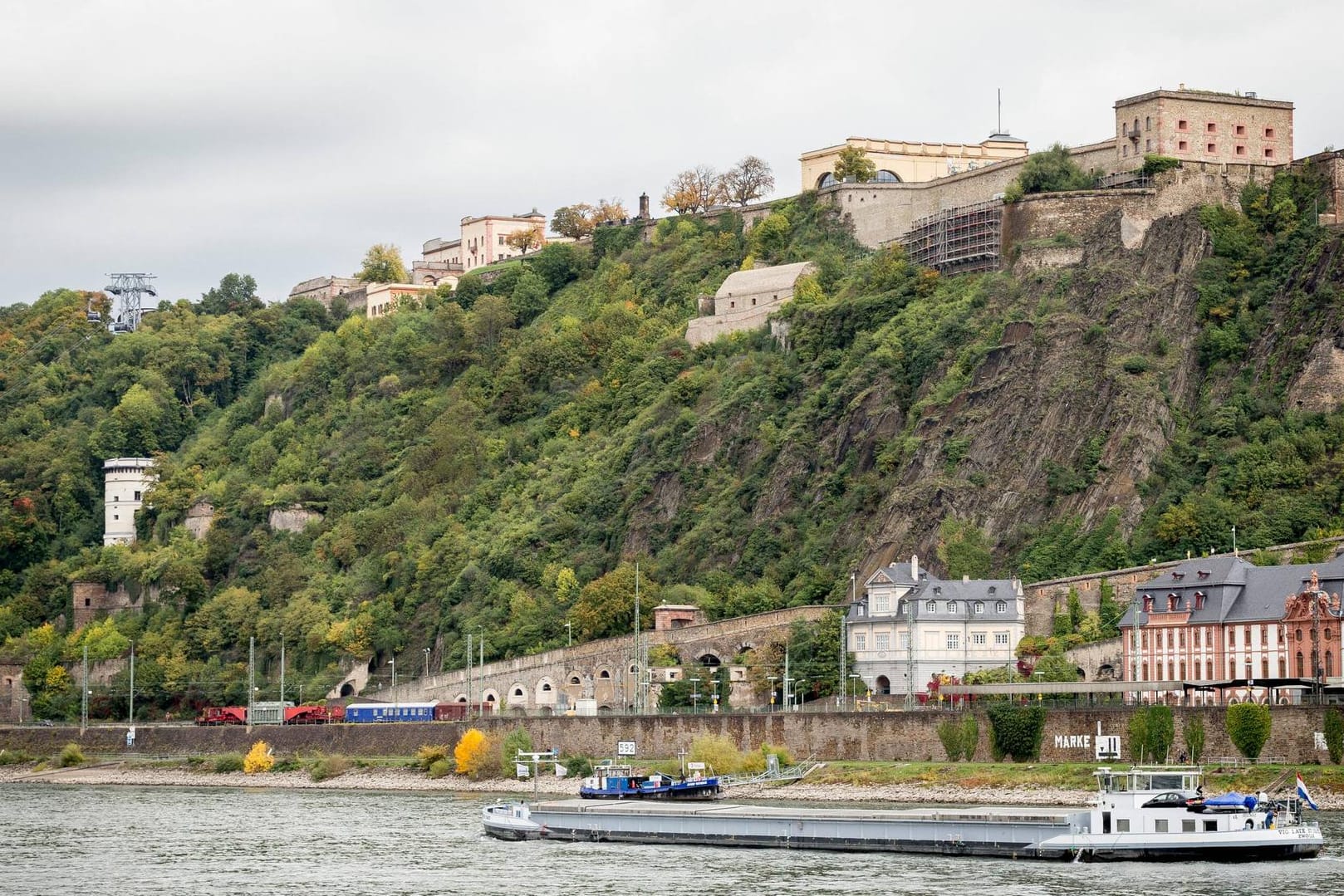 Blick auf die Festung Ehrenbreitstein bei Koblenz: Auf dem Gelände mussten bereits einige Bäume gefällt werden.