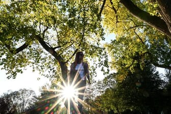 Altweibersommer