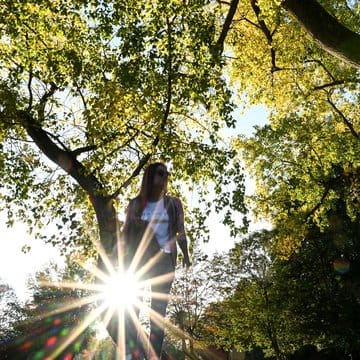 Altweibersommer